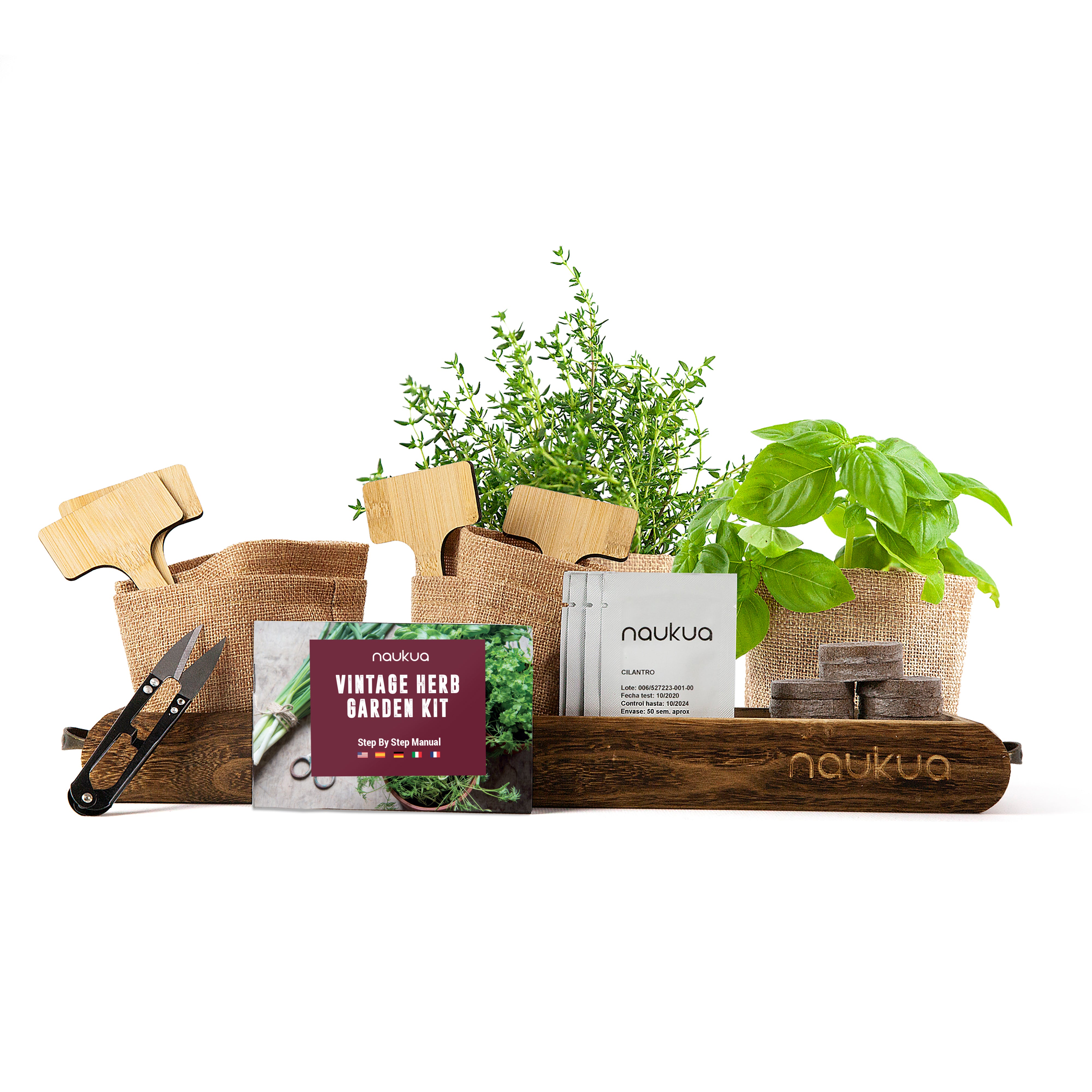 Kit de démarrage pour herbes d'intérieur – Kit de jardinage de 5 graines  d'herbes aromatiques avec pots de plantation en bambou et terreau –  Héritage