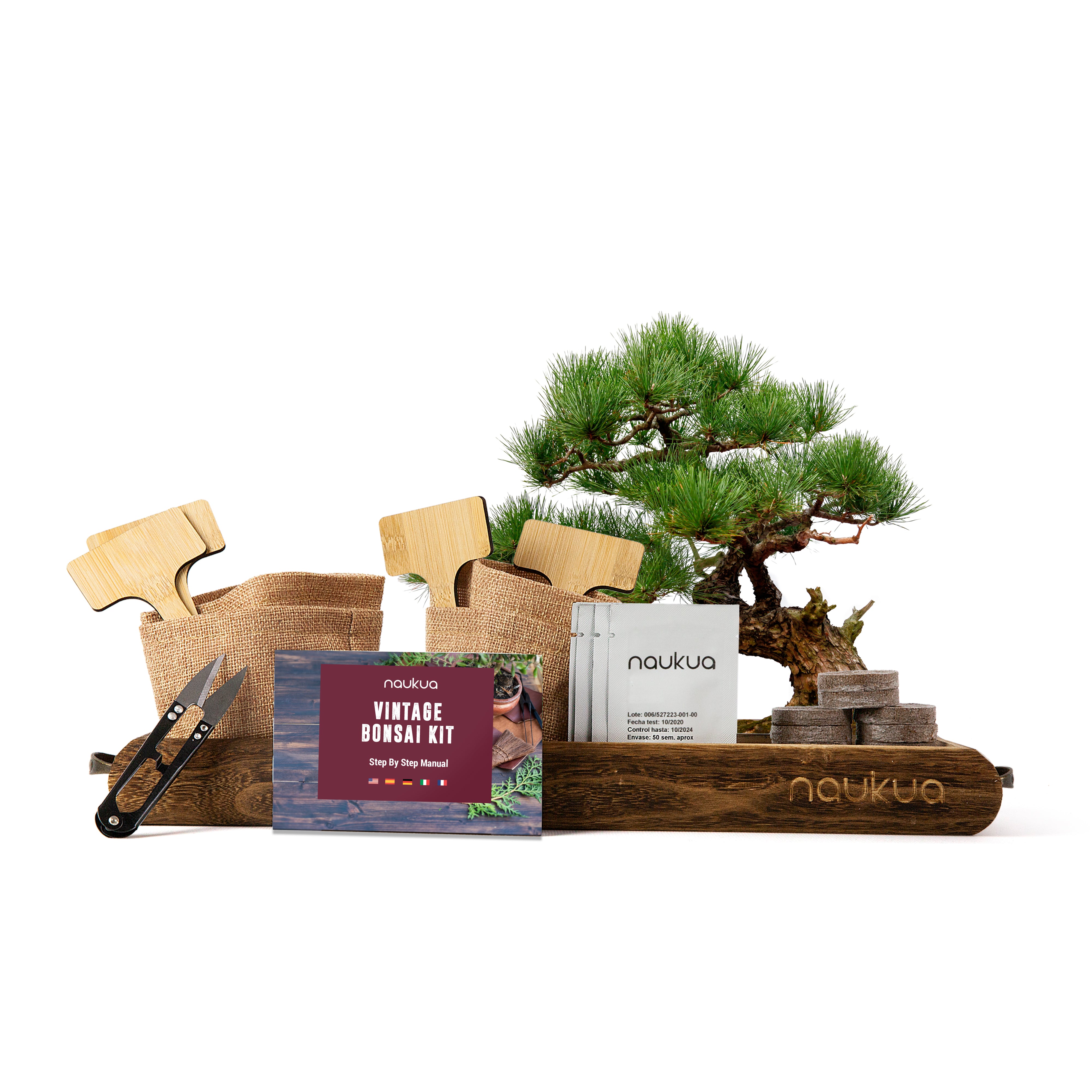 Kits de graines de bonsaï - Premier fournisseur chinois de kits de  culture「Kit de jardin」