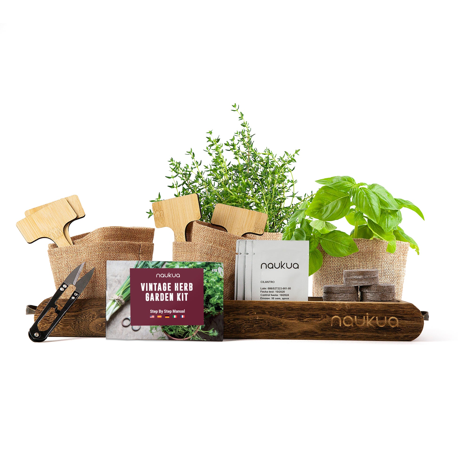 FLEUR DU BIEN Kit de jardin d'herbes aromatiques d'intérieur avec